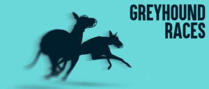 Bet-on-the-Greyhound-Races